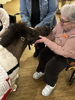 Resident petting a miniature therapy horse