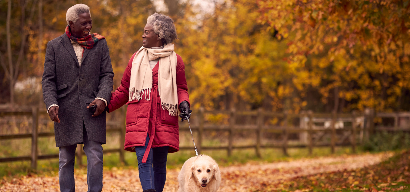 Older African American couple walks their Golden Retriever in Fall