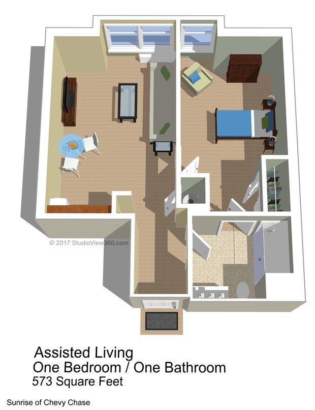 1 Bedroom 1 Bathroom Floor Plan