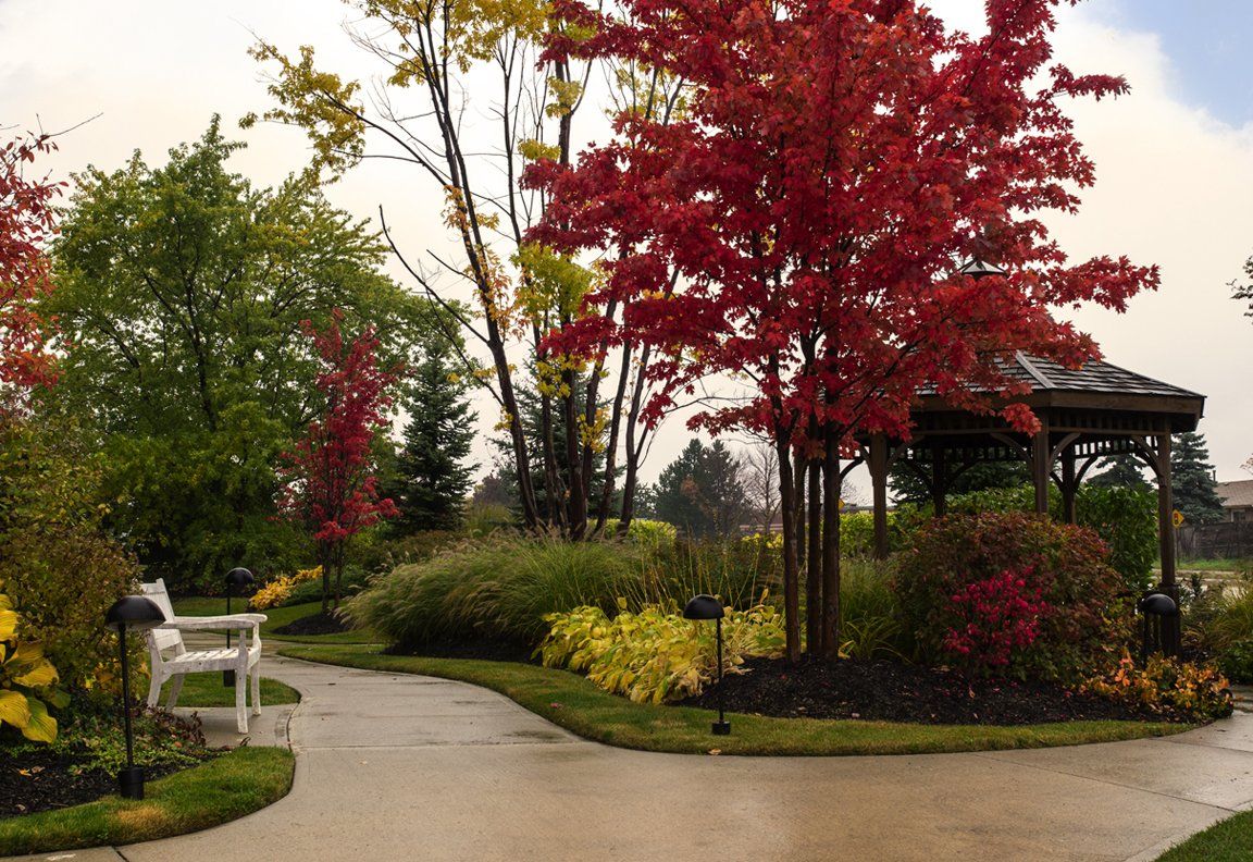 Garden at Sunrise of Erin Mills