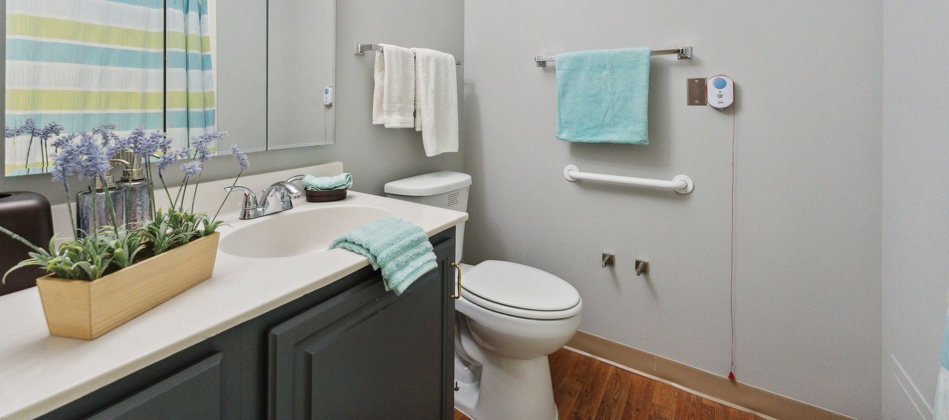 Model Suite Bathroom at Sunrise at Five Forks