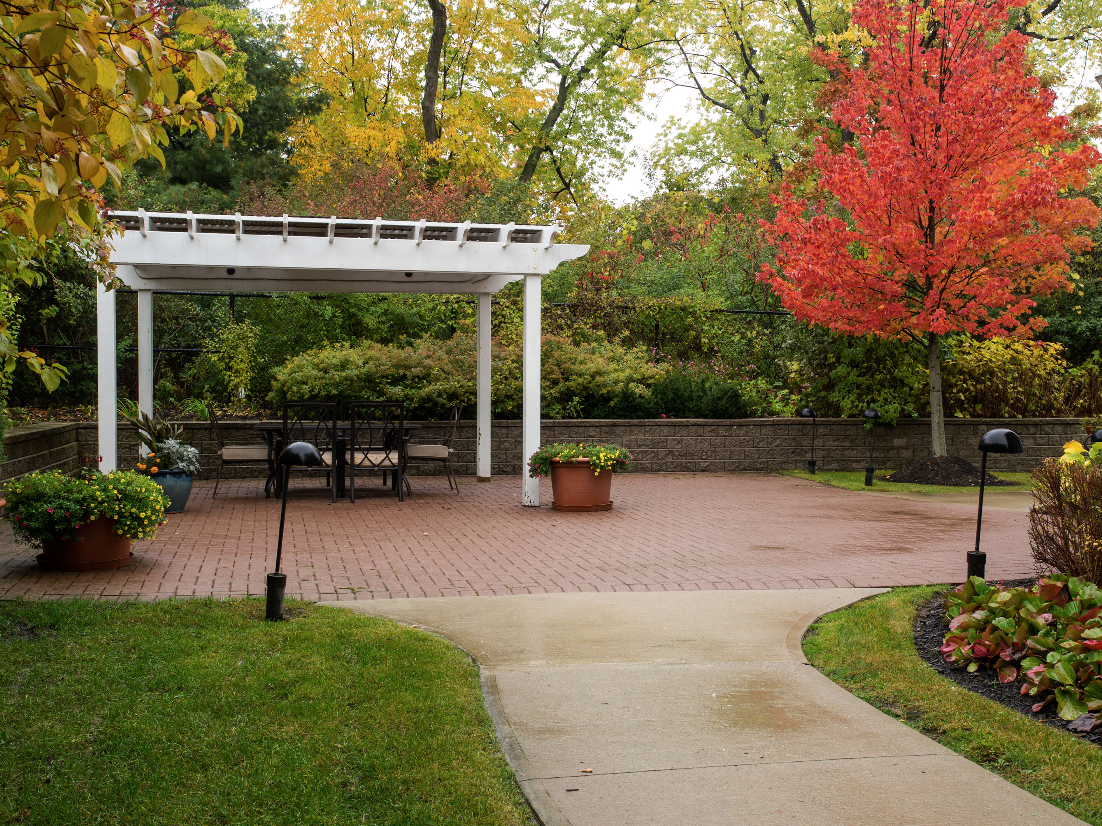 Sunrise of Erin Mills | Garden