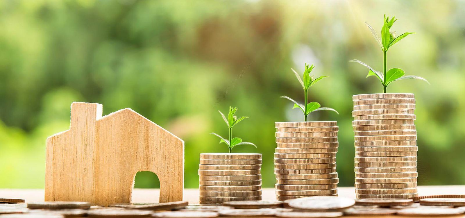 Savings for living