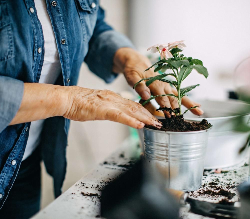 Senior gardening