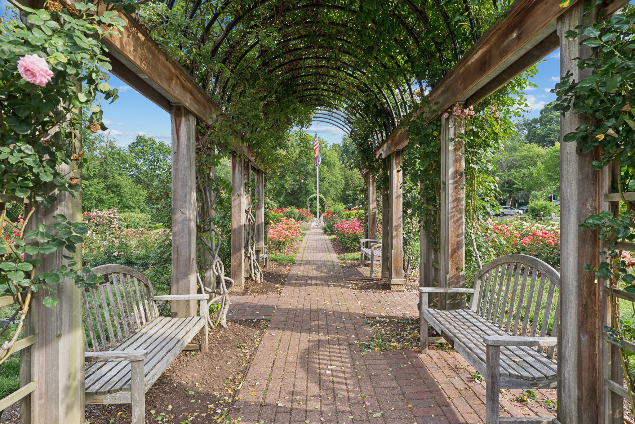 Bluemont Park Rose Garden