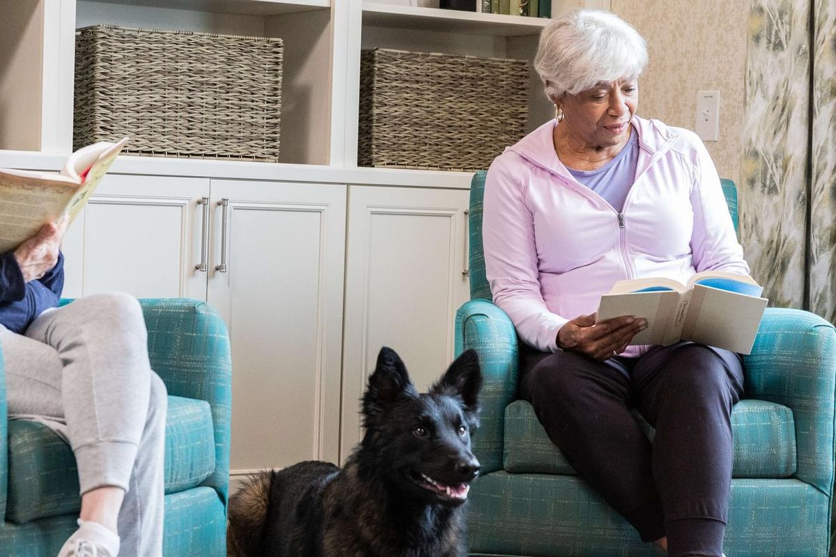 residents and dog