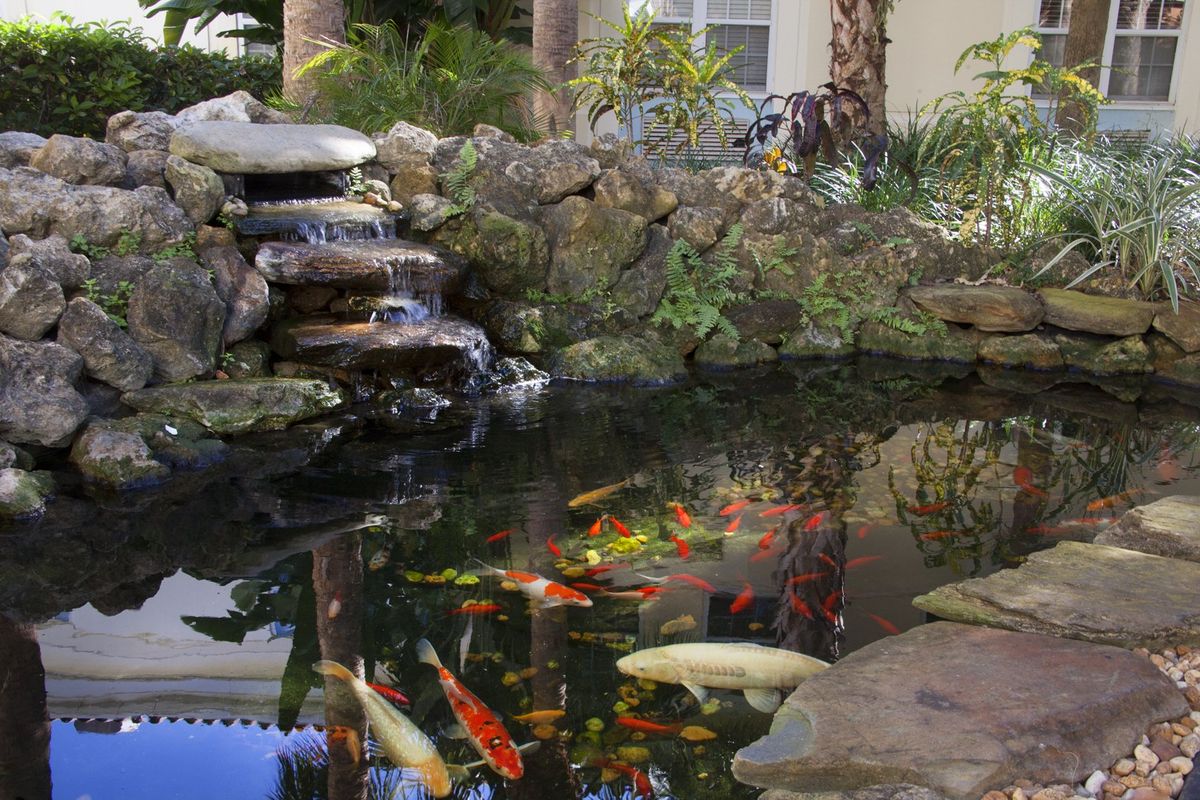 Outdoor Pond at Stratford Court of Boca Raton