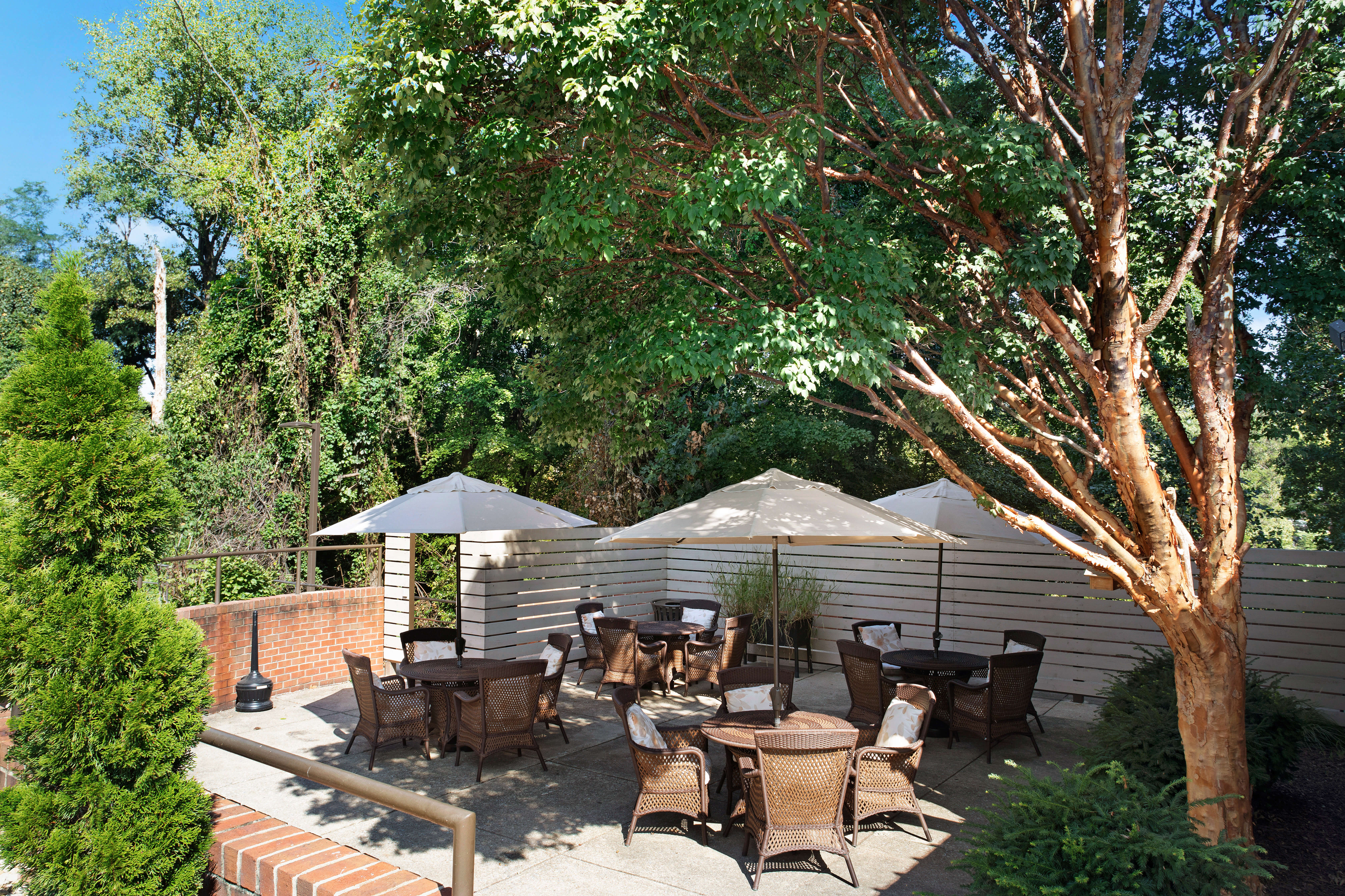 Sunrise of Chevy Chase | Courtyard