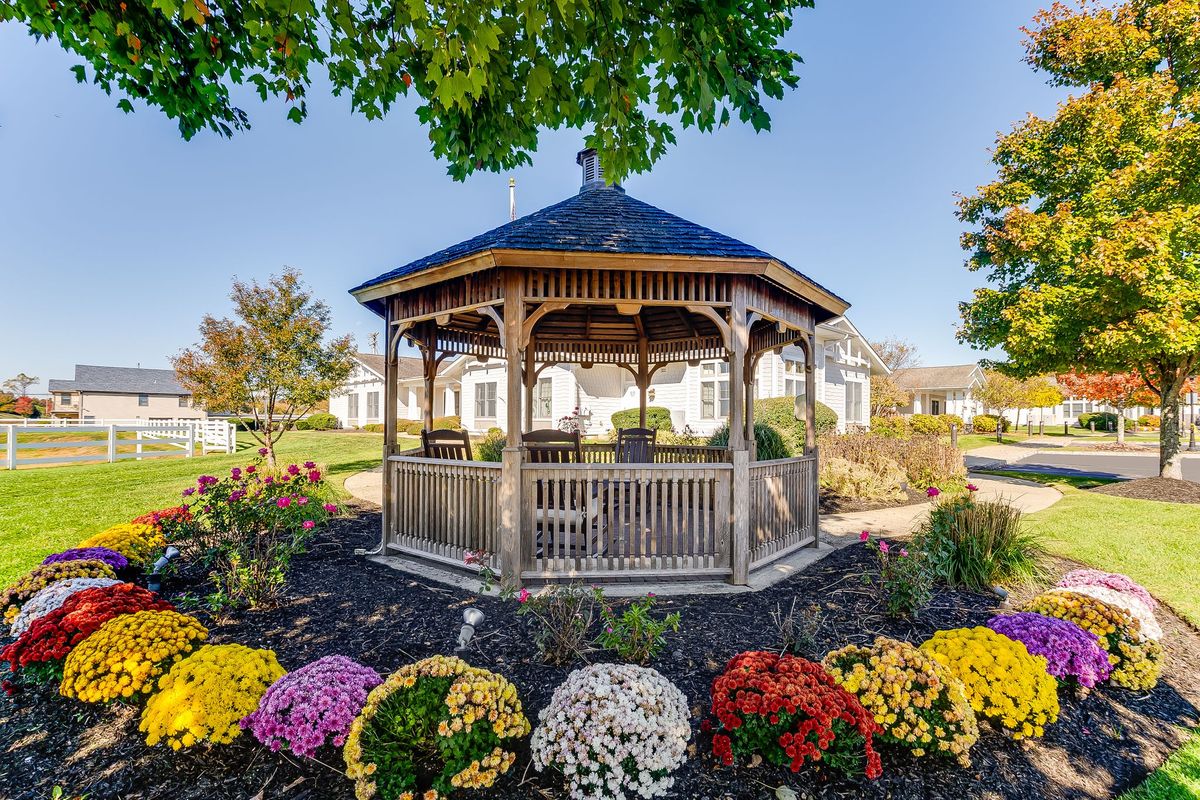 Sunrise of Jackson Garden