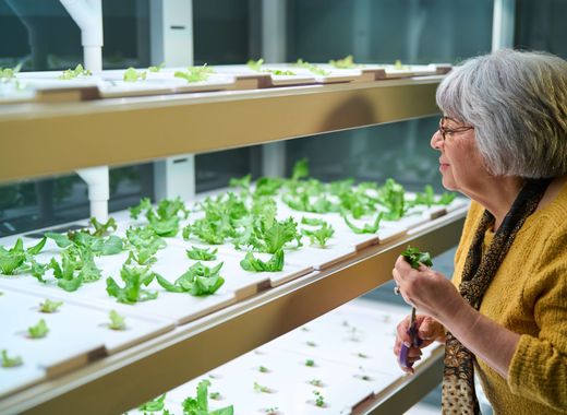 Interior I Babylon Microfarm