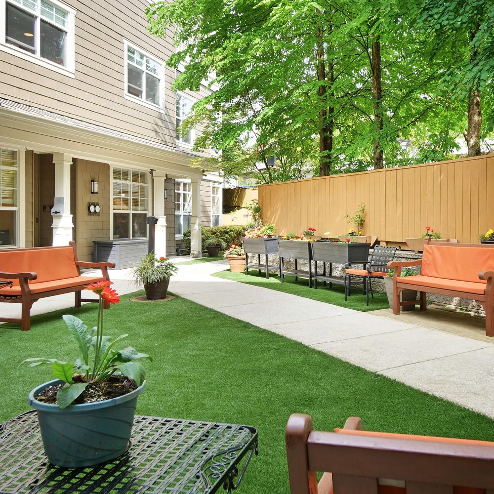 Sunrise of Lynn Valley | Garden