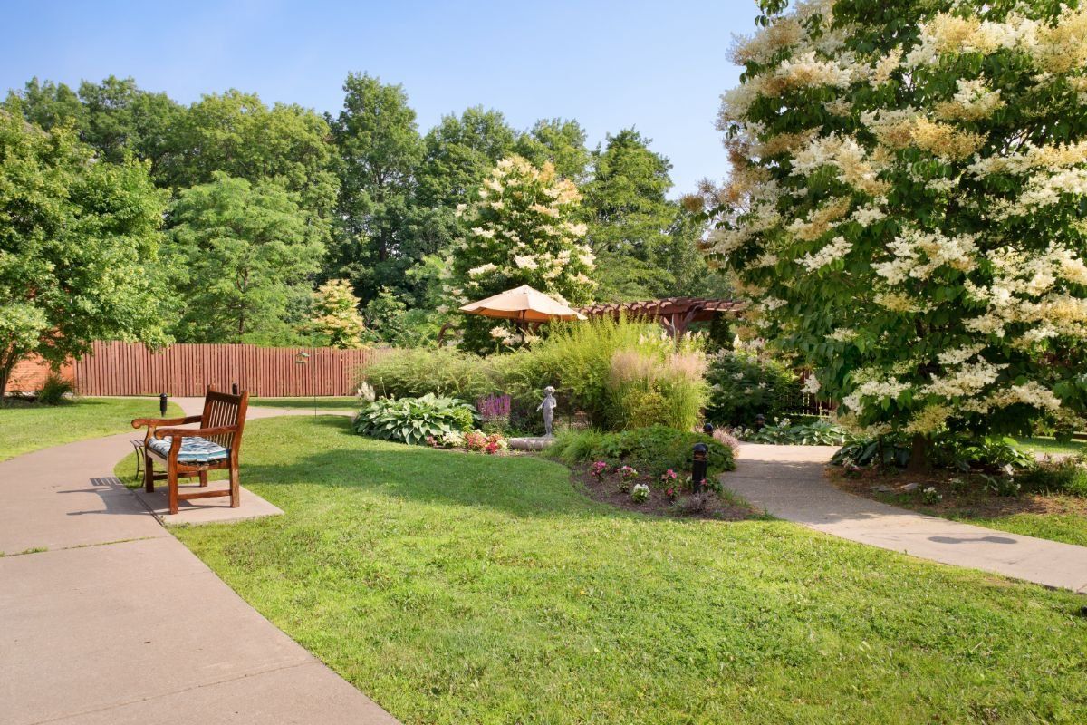 Garden, Sunrise at Beaconsfield