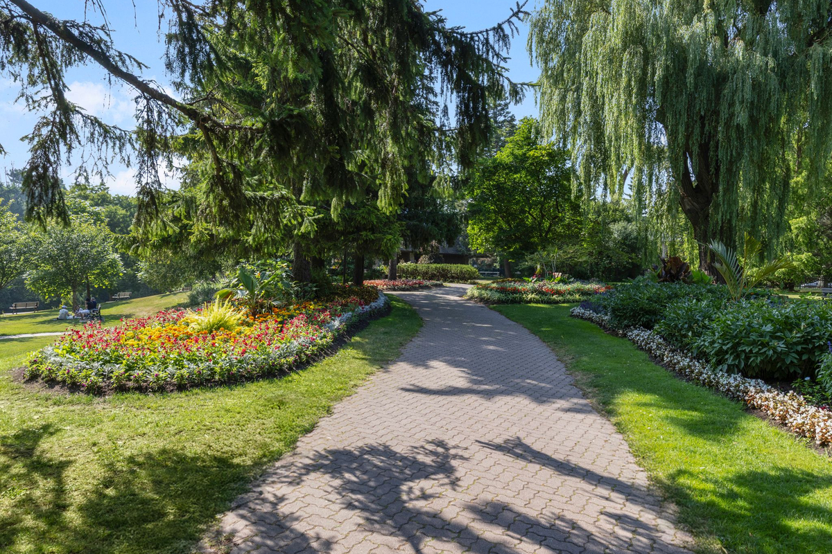 Sunrise of Thornhill | Walking Path