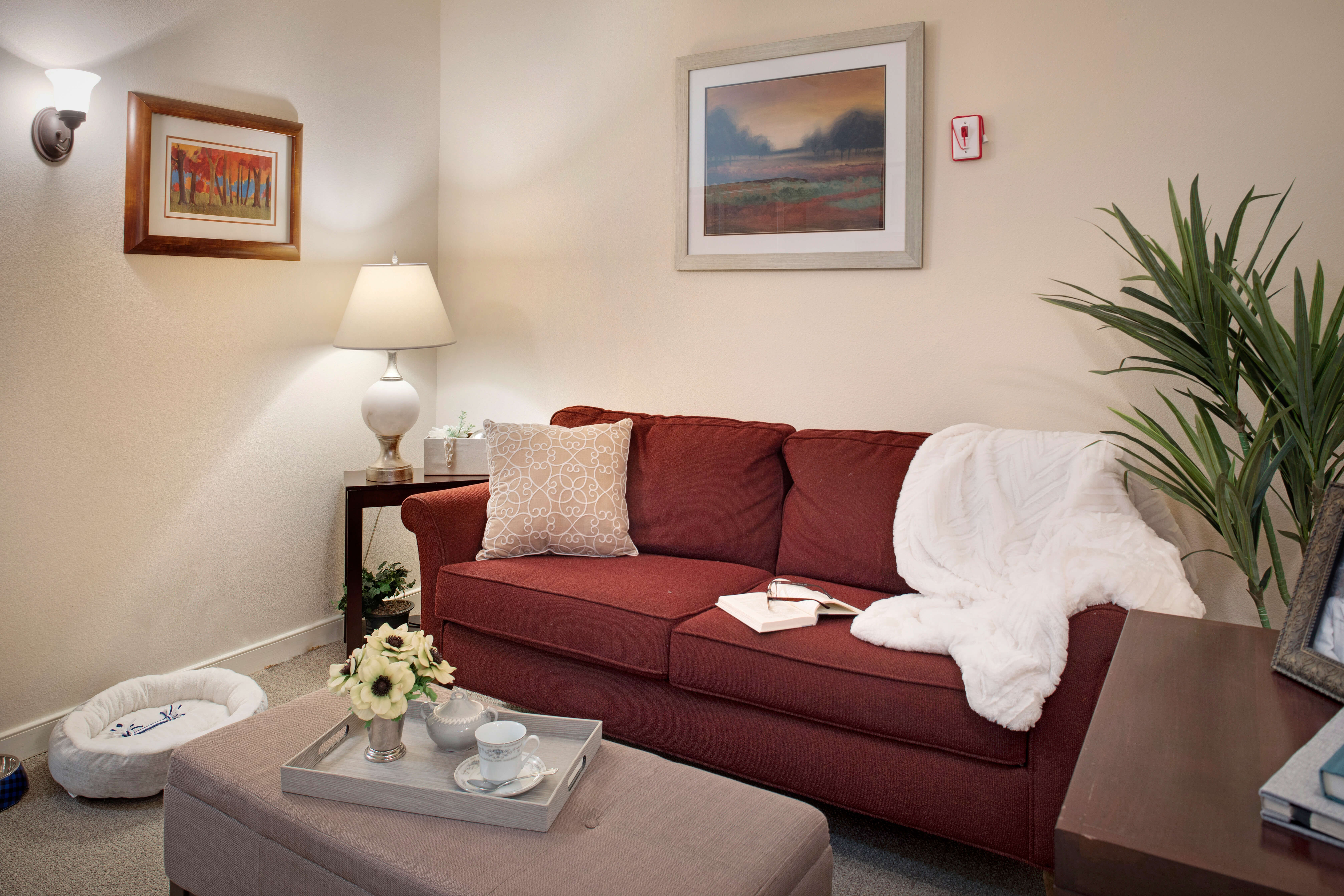 Sunrise of Carmichael | Model Suite Living Room