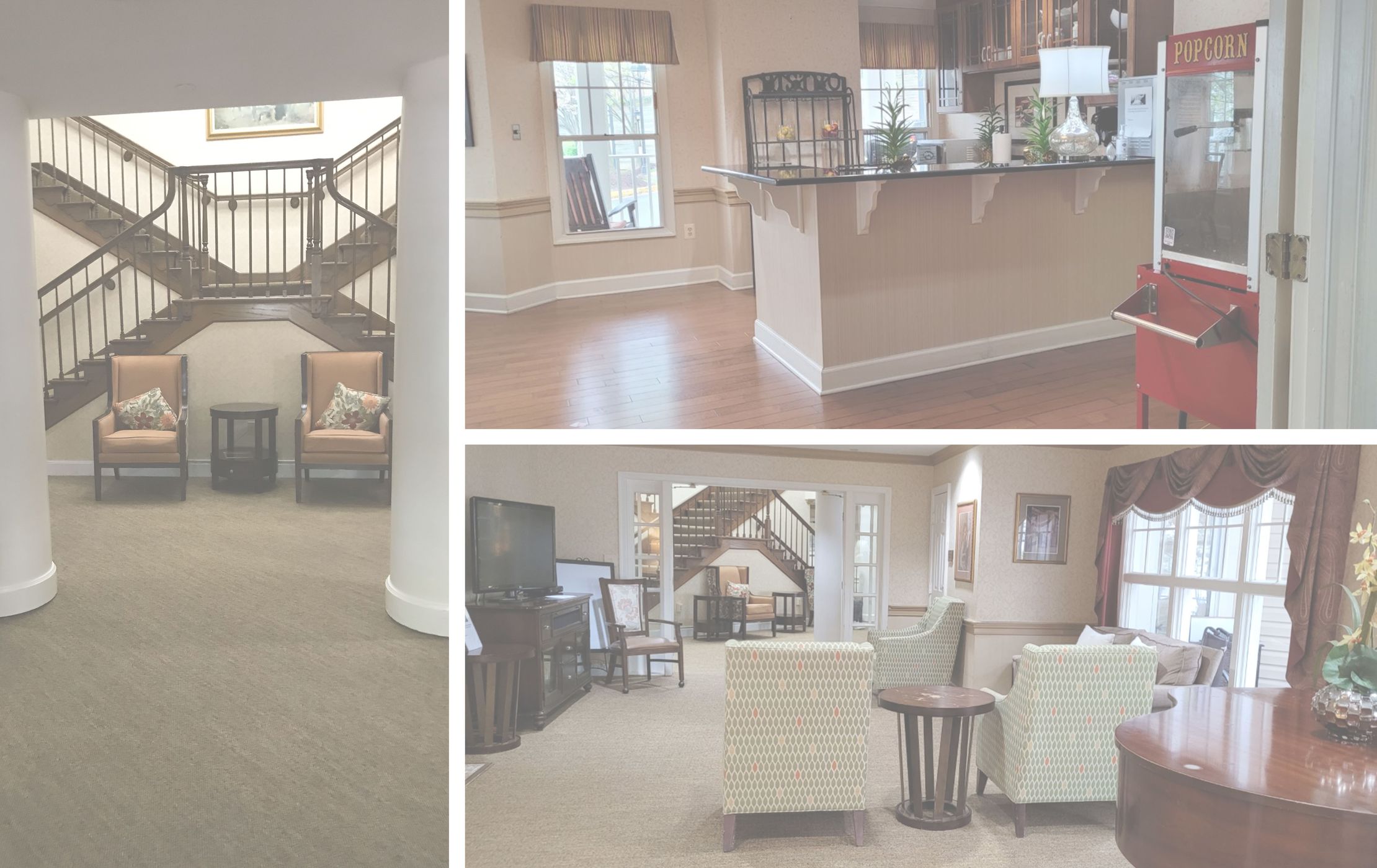 Curated | The James | Bluemont Park