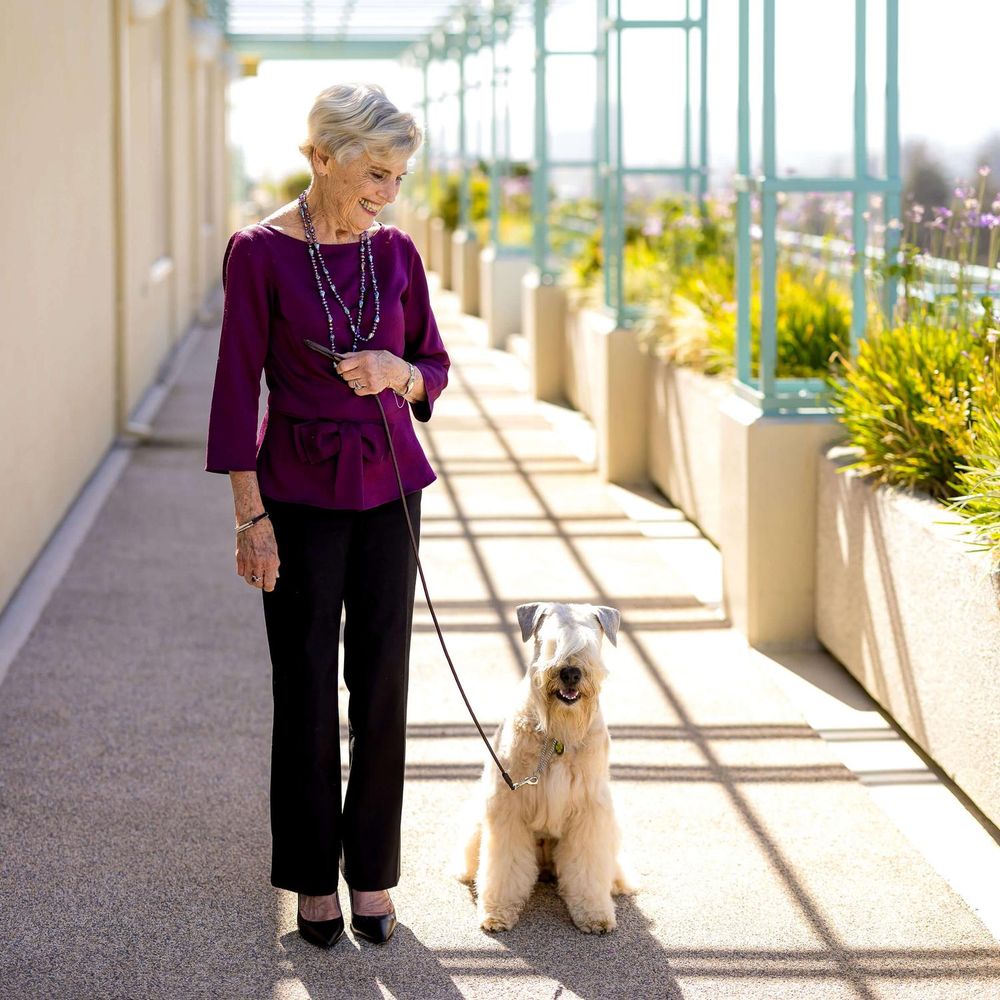 resident and dog on rooftop