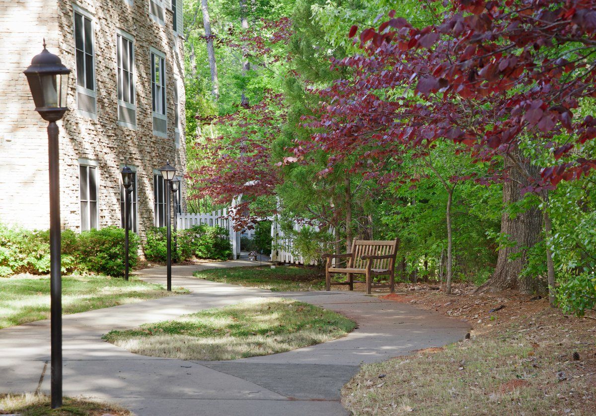 Garden, Sunrise of Cary