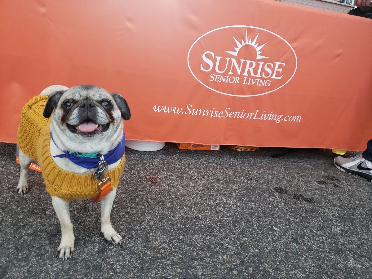 Benefits of Pets Blog.jpg