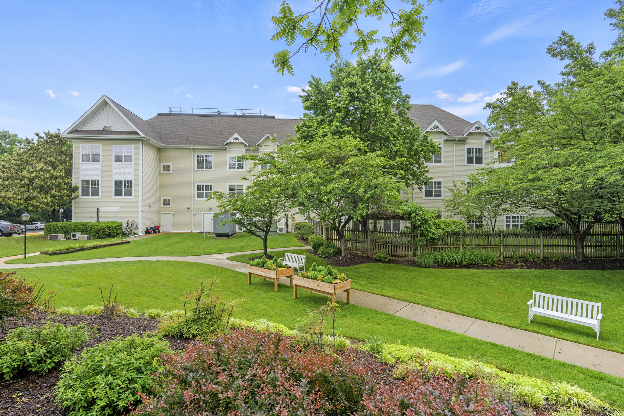 Walking Path | Sunrise of Hunter Mill