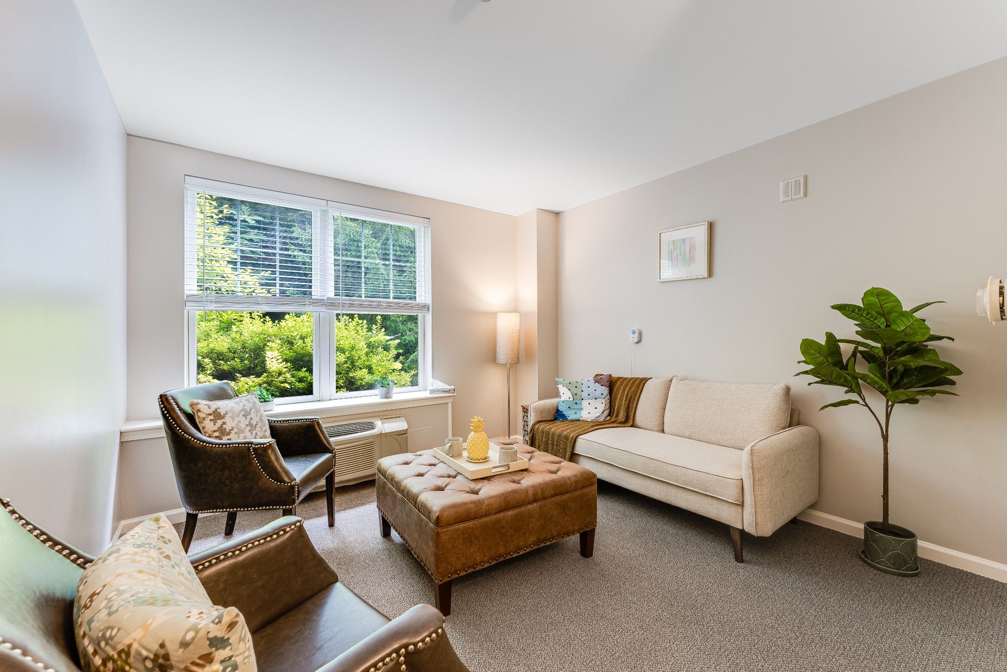Model Living Room | Sunrise of Newtown Square