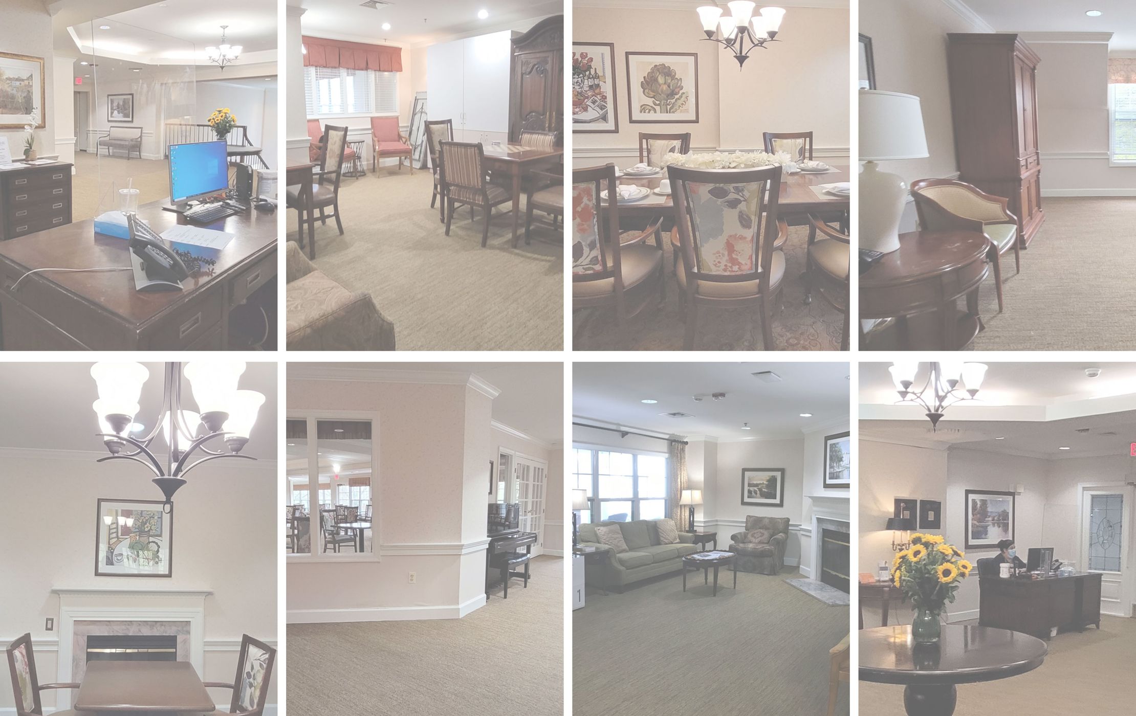 Curated | The Shenandoah | Bluemont Park