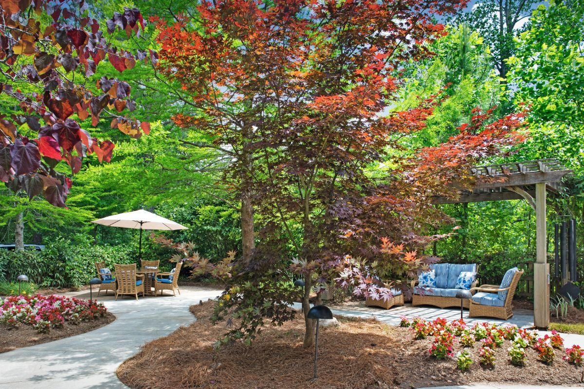 Garden at Sunrise of Johns Creek