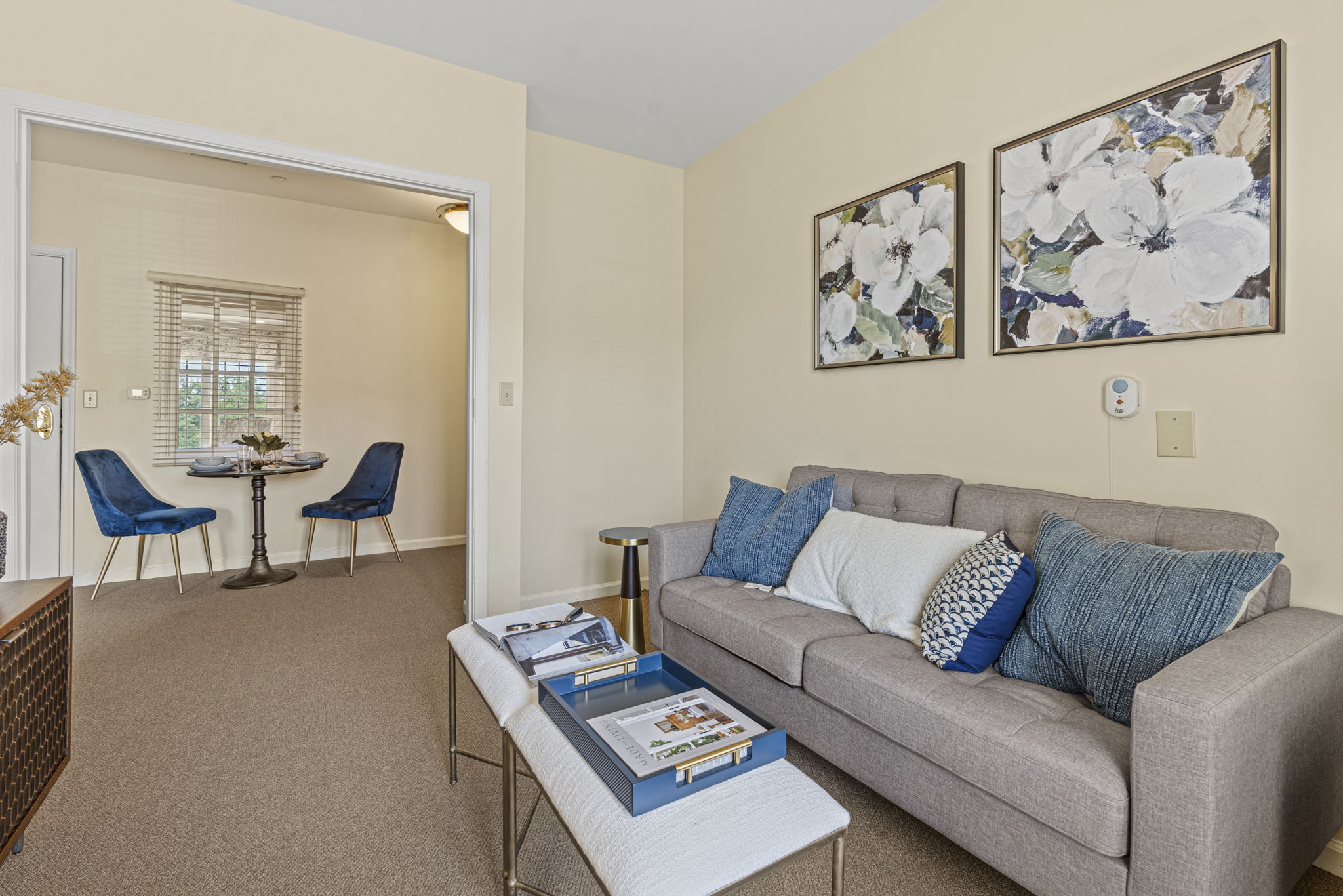 Model Living Room | Sunrise at Fair Oaks