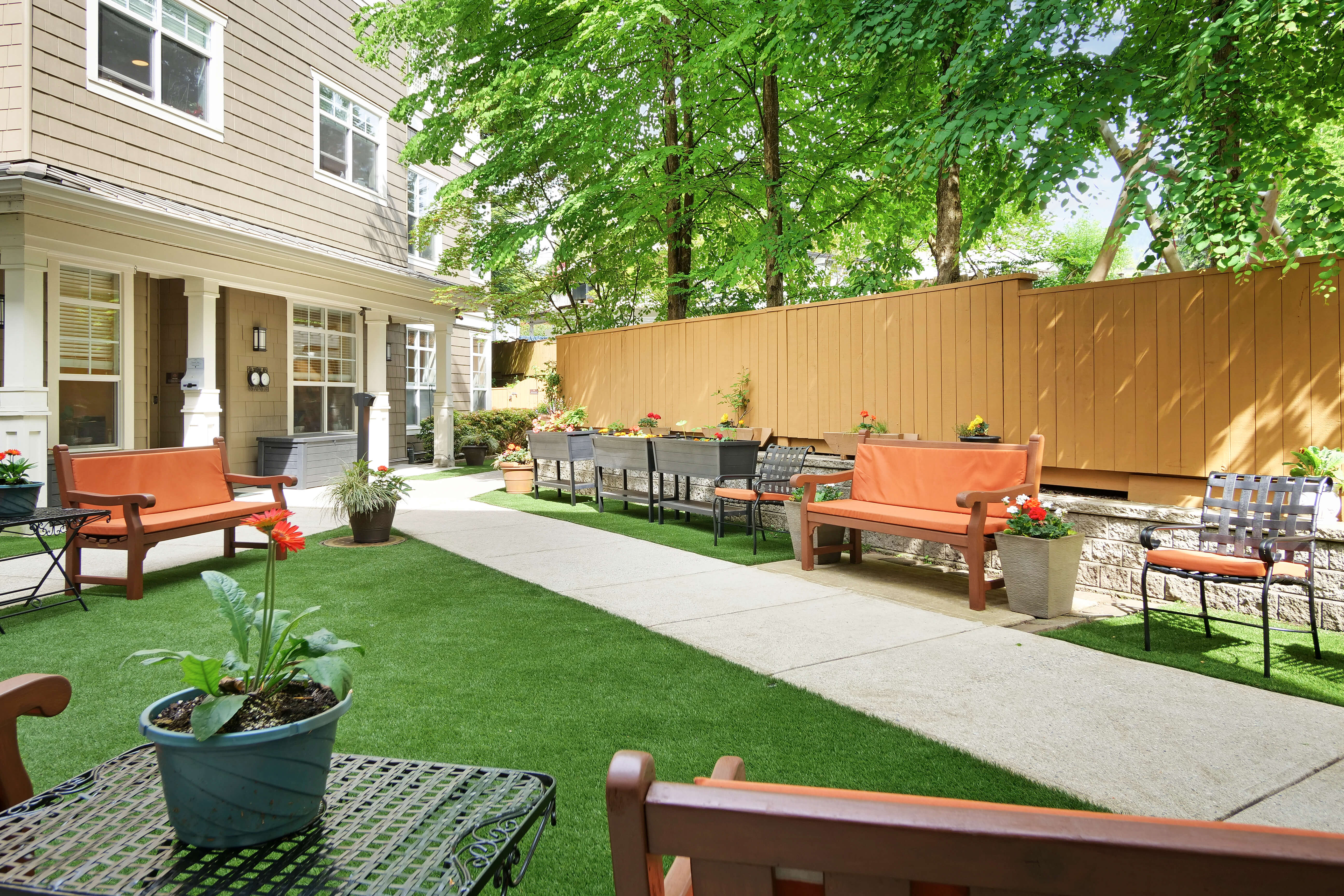 Sunrise of Lynn Valley | Garden