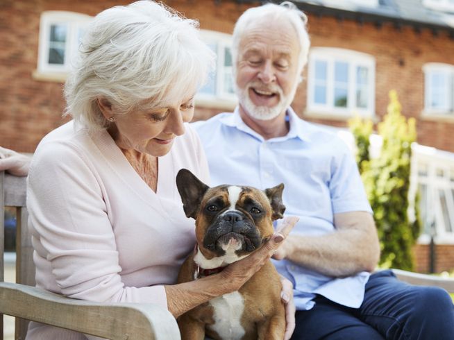 Senior couple sitting outside of a community holding a french bulldog.