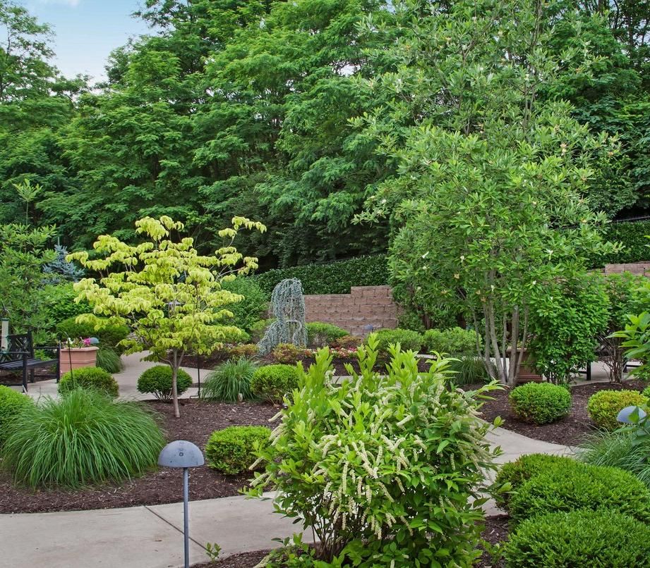 Sunrise of Louisville Garden