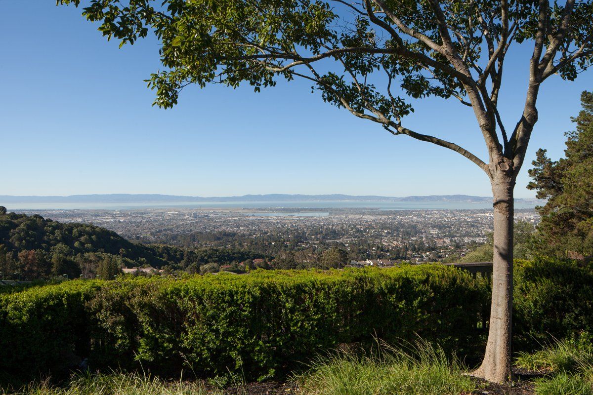 Beautiful Bay View from Sunrise of Oakland Hills
