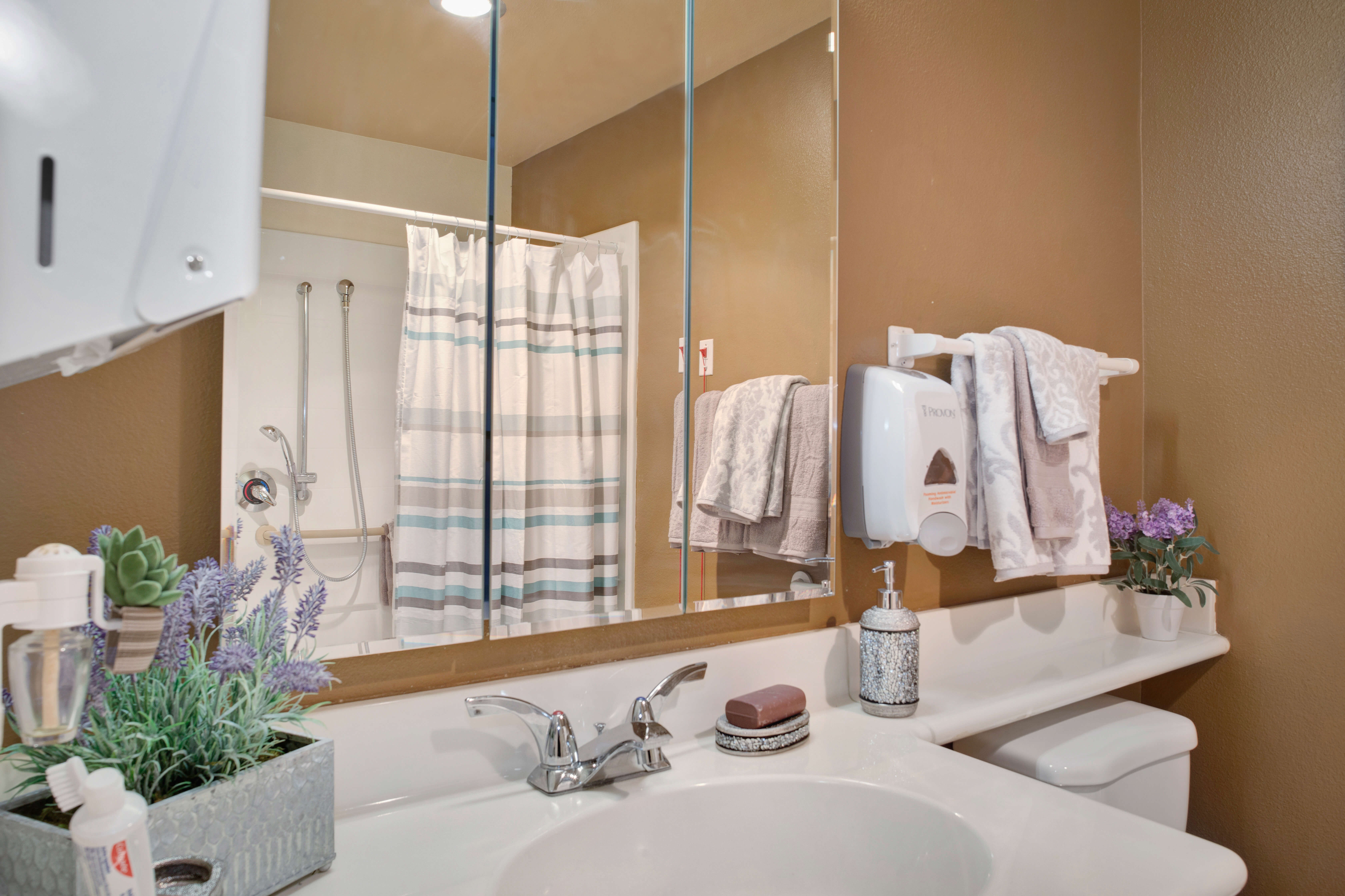 Sunrise of Carmichael | Model Suite Bathroom