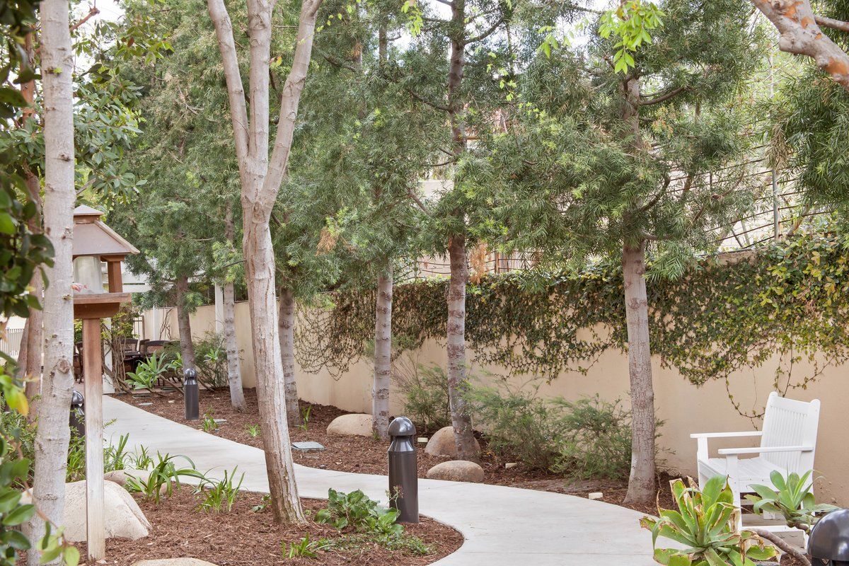 Secluded pathway, Sunrise of Fullerton