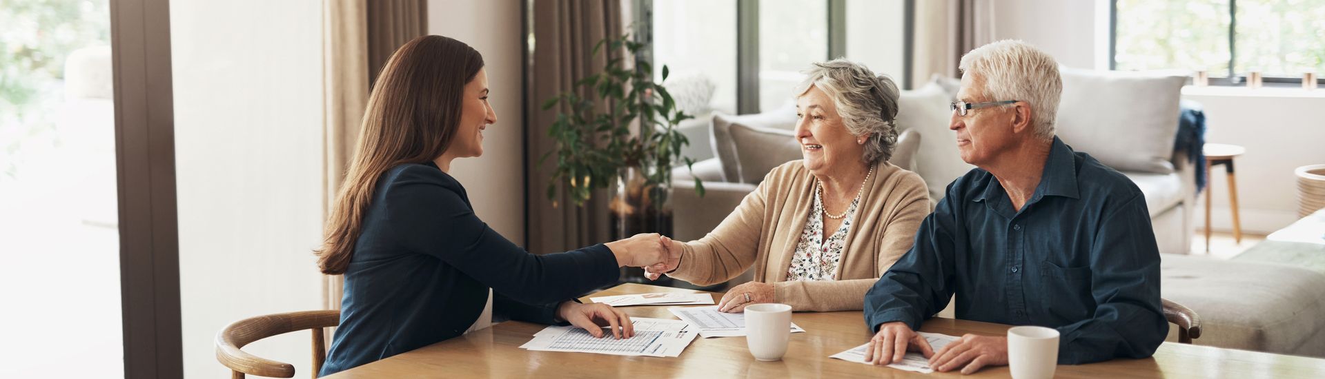 Professional referring and shaking hands with a senior couple