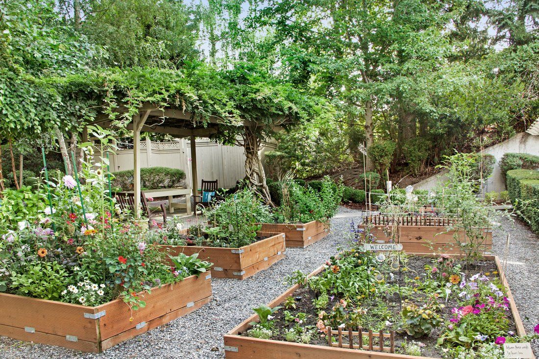 Sunrise of Bellevue, WA Garden