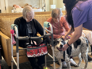 Residents petting the community dog